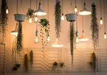 Home Lighting