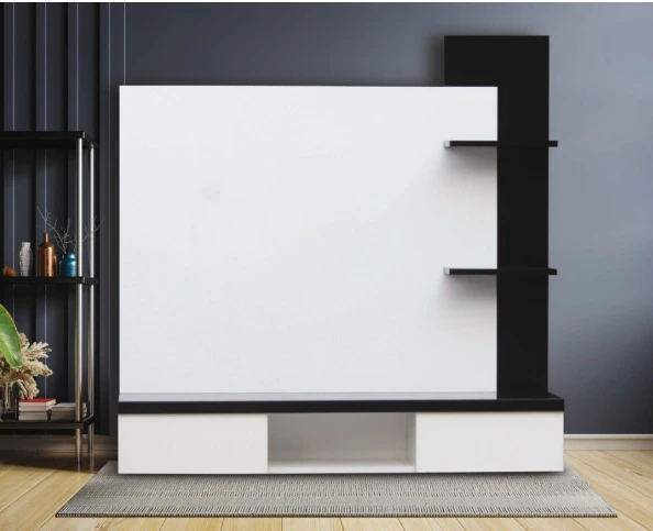 TV unit